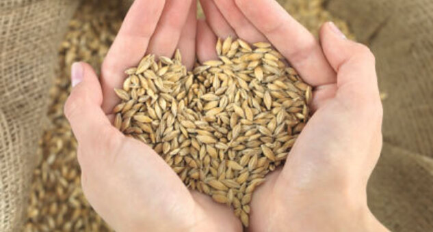 Gift of Grain - Donating a gift of grain to the Community Foundation is a simple way to make a lasting difference.  Click here to learn more!